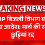 MP Electricity Department